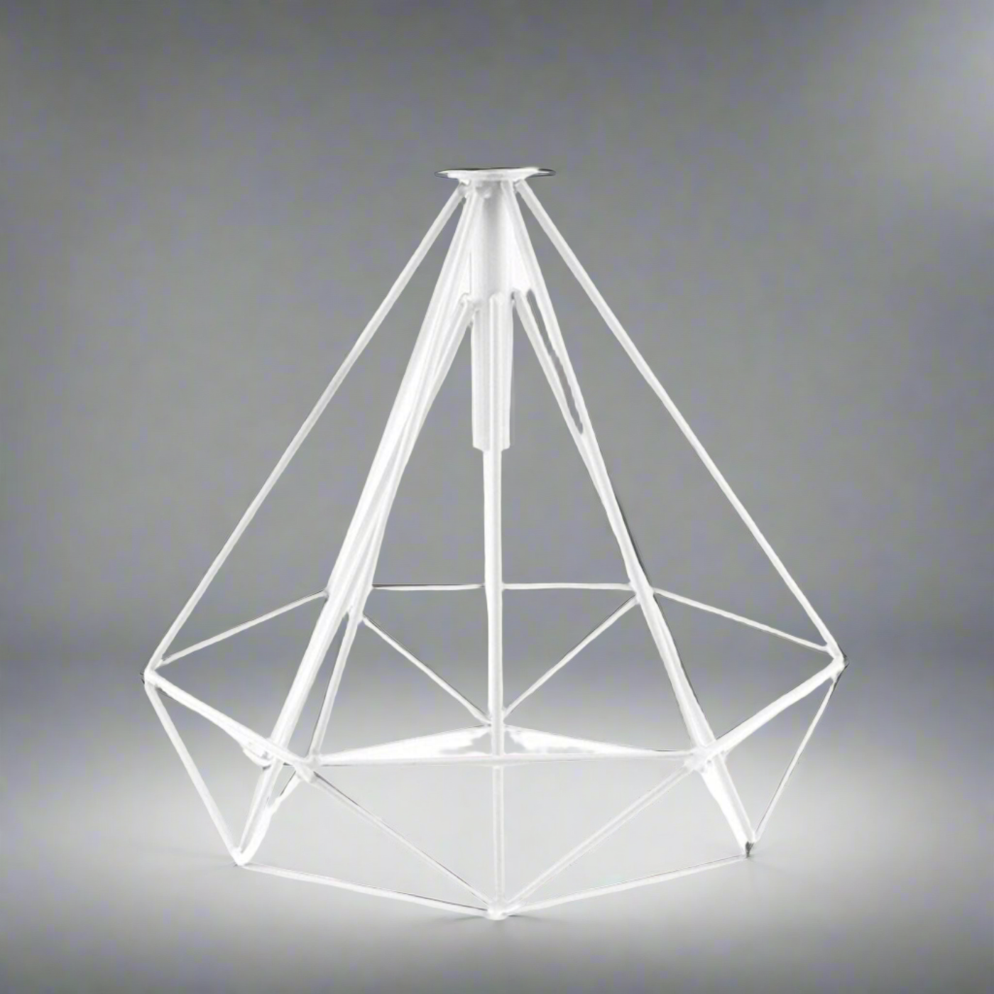 Geometric Wire Cage Design Easy Fit Lighting~1993-0